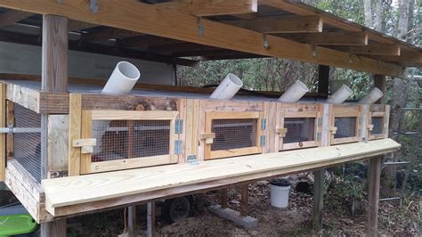 best quail coop design|Build Your Quail Coop in 10 Simple Steps (For。